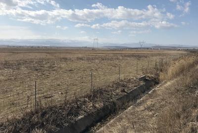 Teren de vanzare 20.000 mp pretabil benzinarie centura, direct de la proprietar! - 5