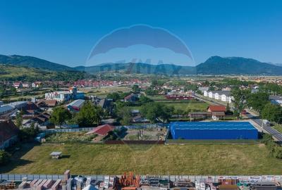 Teren Industrial, 3300 mp,  / DJ 112D, Carpinis - 4