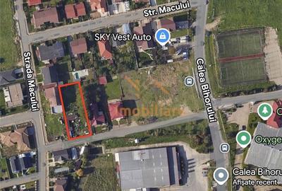 Spațiu comercial, în Paleu - 2