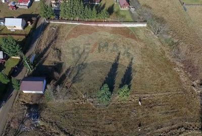 Teren 3,548mp, intravilan, Balcesti (Belis) - 7