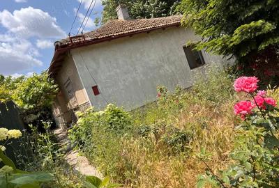 Teren de 431 mp, în Viile Noi - 7