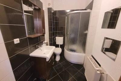 Apartament cu 2 camere decomandat în Turnișor - 4