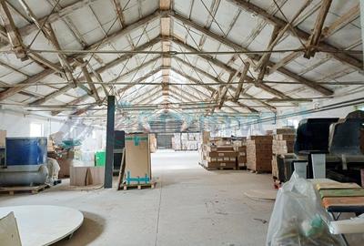 Spațiu industrial, de 1,290 mp, în Sălard - 15