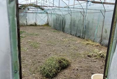 Casă cu gradina 1255mp cu sere, Copaceni , 25km de Cj-N,comision 0% - 21