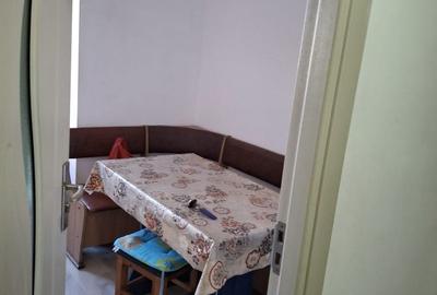Apartament cu 3 camere decomandat în Craiter - 7