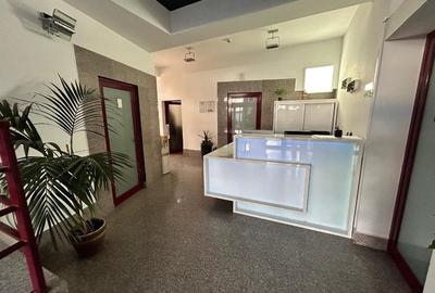 Spatiu de inchiriat birouri/activitati comerciale, Iasi, Jumbo–Silk District - 2