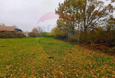 De Vanzare Teren intravilan la DN - 4