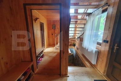 Cabana cu accesc la lac, 1400mp teren Colibita - 17