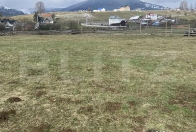 Teren de 12500 mp, în Coșna - 2