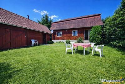 Casă cu 3 camere cu Teren 1360 Mp în Lunca - 6