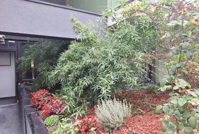 Ap 3 Camere Bloc  Boutique 2022 Utilat-Mobilat Strada Magatti PARC si METROU Ap 3 Camere Bloc  Boutique 2022 Utilat-Mobilat Strada Magatti PARC si METROU - 22