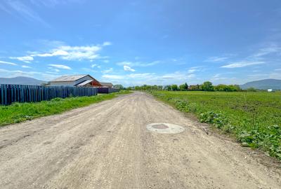 Teren intravilan, 1.7 hectare, Stupini Strada Barsei - 6