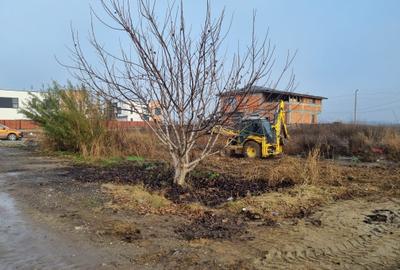 Teren Comuna Berceni - stradal - zona noua intrare - 2