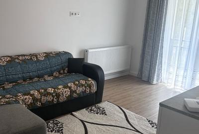 Apartament cu 2 camere în Viișoara - 4
