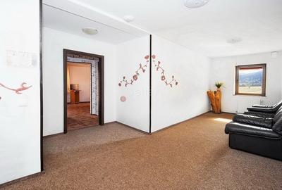 Pensiune Turistica Montana - 35