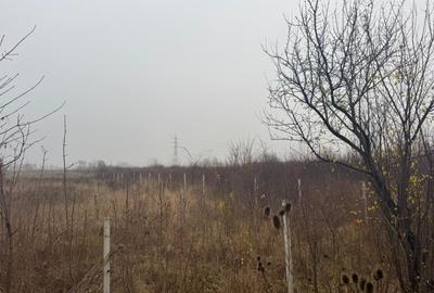 Teren agricol intravilan de 17700 mp, în Freidorf - 3