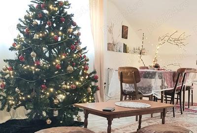 Casă cu Teren 5200 Mp în Băiculești - 9