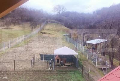 Casă cu Teren 2100 Mp în Sântana de Mureș - 4