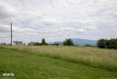 Spațiu comercial, în Vulcan - 2