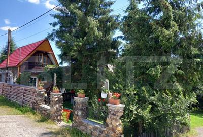 Ocazie , cabana, 300 mp utili, Poiana Stampei cu 6060 mp ter - 11