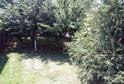 Casă cu 3 camere în Crivina - 6