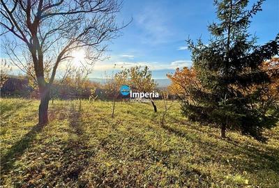 Proprietar Casa D+P+M, 3 cam, 800 teren, Curaturi / Lunca Cetatuii Proprietar Casa D+P+M, 3 cam, 800 teren, Curaturi / Lunca Cetatuii - 6