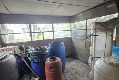 Casă cu 3 camere cu Teren 2500 Mp în Chichiș