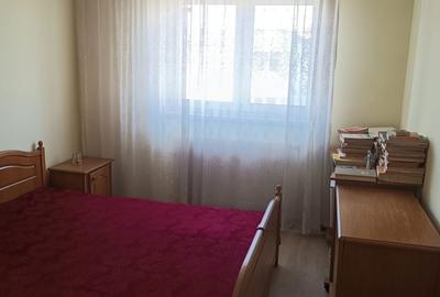 Apartament cu 3 camere decomandat în Bistrița Lac - 4