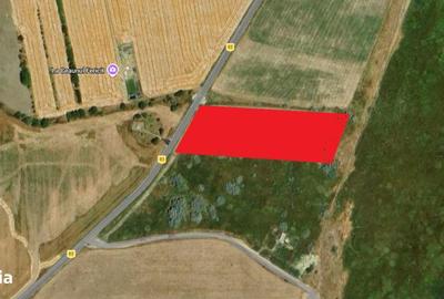 Spațiu comercial, în Vadu - 2