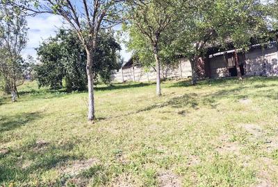 Casă cu 3 camere cu Teren 200 Mp în Hunedoara - 9
