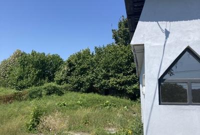 Imobil  comercial in  Zona  bailor Telega, spre  Crucea Domnitorului - 4