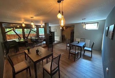 Inchiriere spa?iu comercial Draga?ani - 4