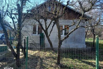 Teren de 2500 mp, în Scorțeni - 3