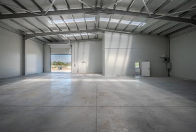 De inchiriat Depozit Nou, Preț Record- Chitila, Rudeni - 4