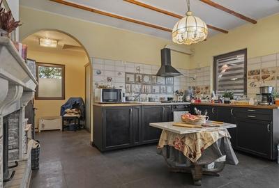 COMISION 0% | 2 Case cu Spatiu Comercial | Teren 1019mp | 540 eur/mp - 4