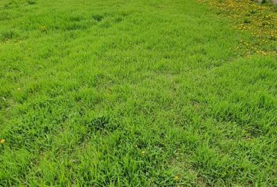 Teren intravilan (loc de casa), Com. Ineu Bihor 1186mp - 6