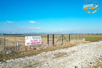 Teren Construcții intravilan de 2498 mp, în Chilieni - 3