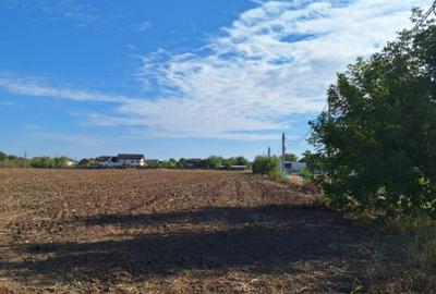 Teren de 530 mp, în Ciofliceni - 16