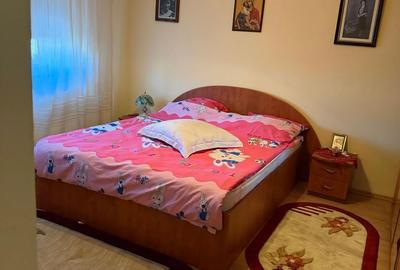 Casă cu 4 camere cu Teren 948 Mp în Bariera Vâlcii - 4
