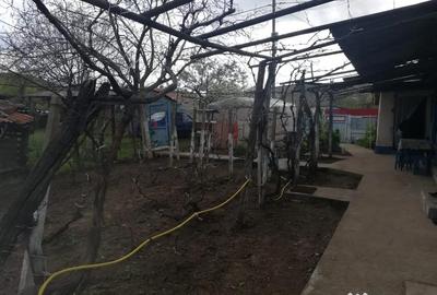 Casă cu 3 camere în Balabancea - 2
