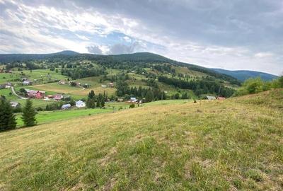 RECO Teren intravilan in Arieseni - 6
