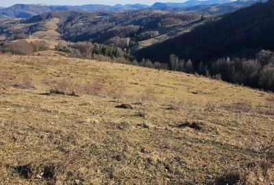 Spațiu comercial, în Central - 1