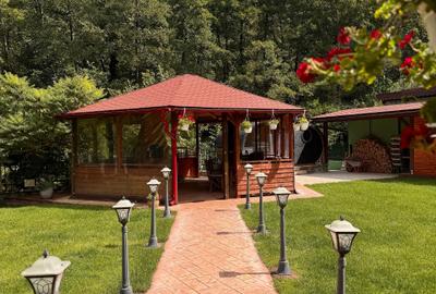 Pensiune Premium lângă Sarmizegetusa și Parcul Retezat - 10