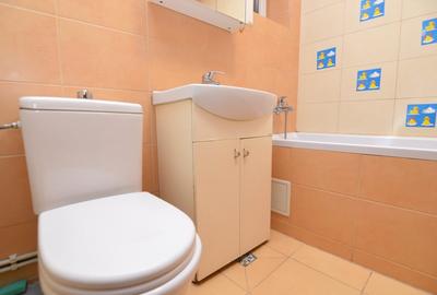 INCHIRIERE APARTAMENT 3 CAMERE TINERETULUI - PARCUL TINERETULUI INCHIRIERE APARTAMENT 3 CAMERE TINERETULUI - PARCUL TINERETULUI - 21