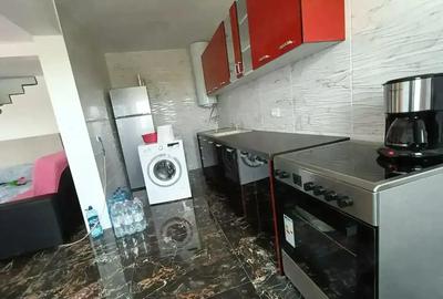 Casă cu 2 camere în Mlenăuți - 4