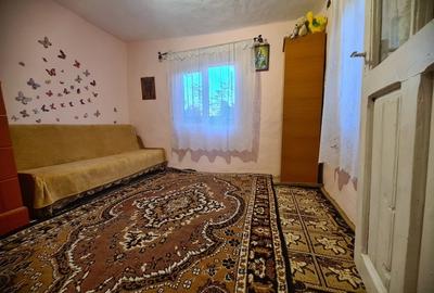 Casă cu 3 camere cu Teren 2100 Mp în Scorțaru Nou - 7