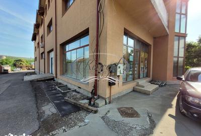 Spațiu comercial, de 350 mp, în Someșeni - 5