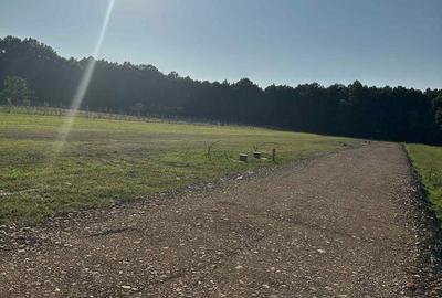 Teren de 1200 mp, în Recea - 3