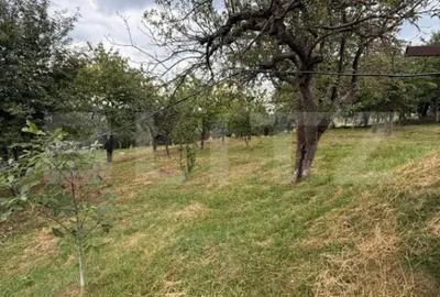 Casă cu 4 camere cu Teren 4800 Mp în Central - 7