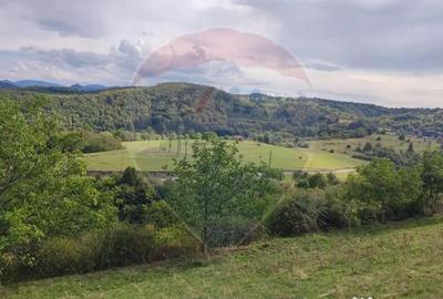 Teren de 3082 mp, în Damiș - 18